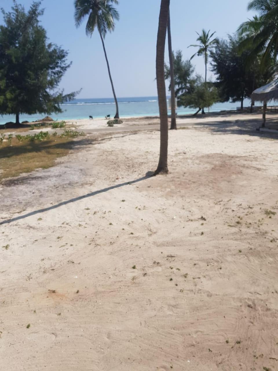 Flyzone Seashell Cottages Only For Indian Nationals With Valid Entry Permit Agatti Luaran gambar